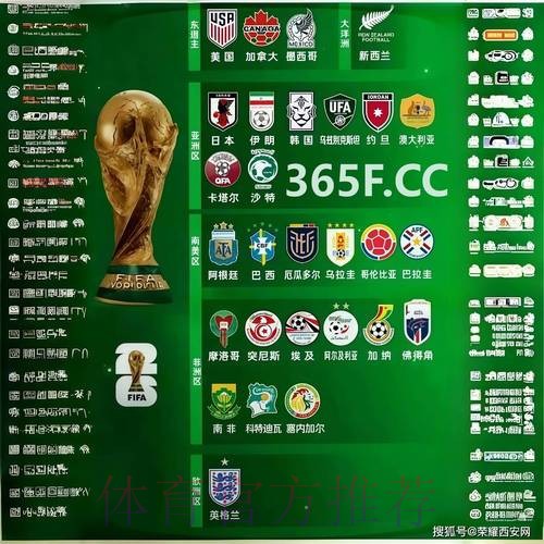 世界杯下注平台推荐最佳选择